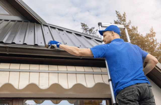 gutter cleaning phenix city